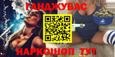 шишки Тверь