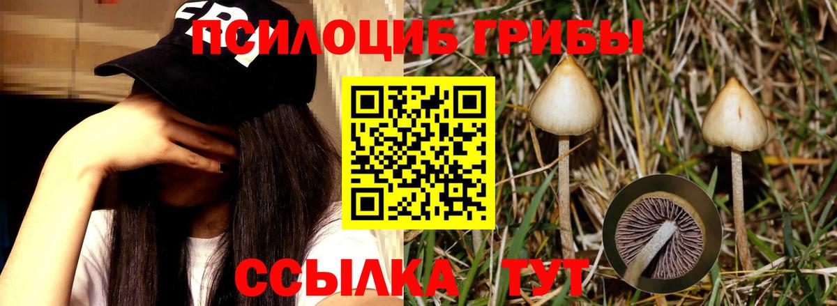 Похвистнево  Галлюциногенные грибы ЛСД  Вход с VPN 